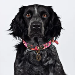 DWAM Halsband Boho Rosa -Katten Honden Benodigdheden Winkel dwam halsband boho rosa 133649 2000 none