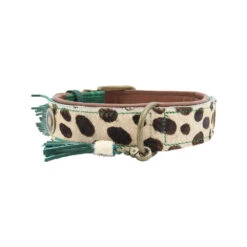 DWAM Halsband Ivy -Katten Honden Benodigdheden Winkel dwam halsband ivy 180676 1000 none