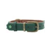 DWAM Halsband Ivy 2 DWAM Halsband Ivy -Katten Honden Benodigdheden Winkel dwam halsband ivy s 2 cm 109117 1000 none
