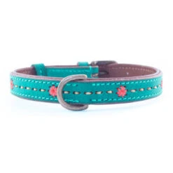 DWAM Halsband Janis -Katten Honden Benodigdheden Winkel dwam halsband janis 122924 0500 none