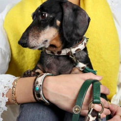 DWAM Hondenriem Ivy -Katten Honden Benodigdheden Winkel dwam hondenriem ivy 180697 1000 none