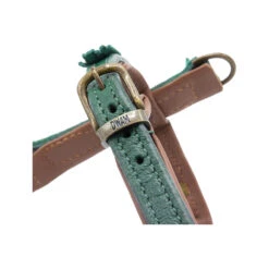 DWAM Hondentuigje Ivy -Katten Honden Benodigdheden Winkel dwam hondentuigje ivy 182740 1000 none