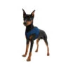 Aqua Coolkeeper Comfy Harness -Katten Honden Benodigdheden Winkel e3b61221648790d0b2300c4b3597d5bb9f002b15b42bbc939593fd9be8d39023 3