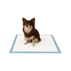 Easypets Trainingspads -Katten Honden Benodigdheden Winkel easypets trainingspads 184186 1000 none