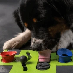 Eat Slow Live Longer Puzzle Antischrok Voerbak -Katten Honden Benodigdheden Winkel eat slow live longer puzzle antischrok voerbak 220720 0500 none