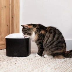 Ebi Manoa Drinkfontein -Katten Honden Benodigdheden Winkel ebi manoa drinkfontein 221800 1000 none