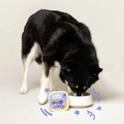 Edgard & Cooper Adult - Rund & Eend - Kuipje -Katten Honden Benodigdheden Winkel edgard cooper adult rund eend kuipje 168612 2000 none