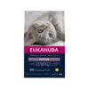 Eukanuba Kitten Healthy Start -Katten Honden Benodigdheden Winkel eukanuba kitten healthy start 10kg 122374 2000 none