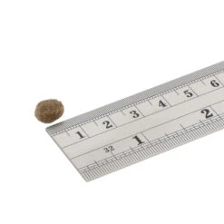 Fish4Dogs Finest Adult Complete - Witvis Kleine Brok -Katten Honden Benodigdheden Winkel fish4dogs finest adult complete witvis kleine brok 160919 1000 none