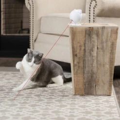 Frolicat Dancing Dot -Katten Honden Benodigdheden Winkel frolicat dancing dot 184735 1000 none