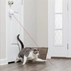 Frolicat Dancing Dot -Katten Honden Benodigdheden Winkel frolicat dancing dot 184741 1000 none