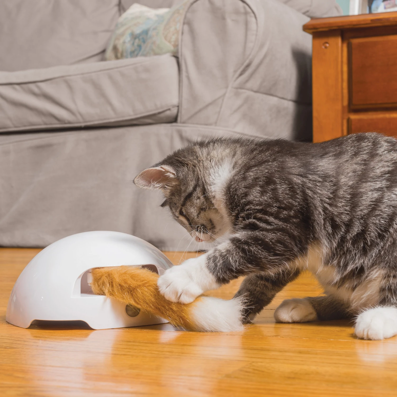 FroliCat Fox 4 FroliCat Fox - Afbeelding 2