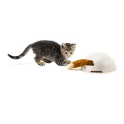 FroliCat Fox 11 FroliCat Fox -Katten Honden Benodigdheden Winkel frolicat fox 136600 2000 none