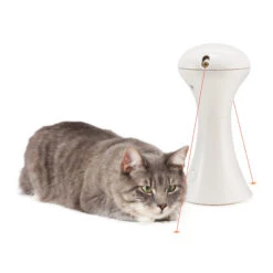 FroliCat Multi-Laser -Katten Honden Benodigdheden Winkel frolicat multi laser 136612 2000 none