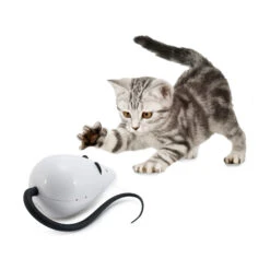 FroliCat RoloRat 11 FroliCat RoloRat -Katten Honden Benodigdheden Winkel frolicat rolorat 136585 2000 none