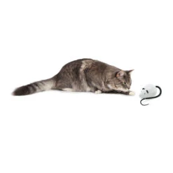 FroliCat RoloRat 12 FroliCat RoloRat -Katten Honden Benodigdheden Winkel frolicat rolorat 136588 2000 none