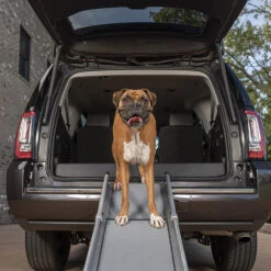 Happy Ride Compact Telescoping Dog Ramp -Katten Honden Benodigdheden Winkel happy ride compact telescoping dog ramp 162826 1000 none