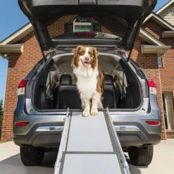 Happy Ride Telescoping Pet Ramp Deluxe -Katten Honden Benodigdheden Winkel happy ride telescoping pet ramp deluxe 162499 1000 none
