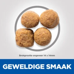 Hill's Science Plan - Adult - Large - Chicken -Katten Honden Benodigdheden Winkel hills science plan adult large chicken 218830 0500 none