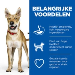 Hill's Science Plan - Adult - Performance -Katten Honden Benodigdheden Winkel hills science plan adult performance 218771 0500 none