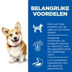 Hill's Science Plan - Small & Mini Adult Dog -Katten Honden Benodigdheden Winkel hills science plan adult small miniature 218854 0500 none