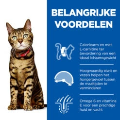 Hill's Science Plan - Feline Adult Light -Katten Honden Benodigdheden Winkel hills science plan feline adult light 218372 0500 none