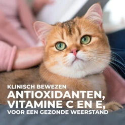 Hill's Science Plan - Feline Mature Adult - Hairball Control -Katten Honden Benodigdheden Winkel hills science plan feline mature adult hairball control 218321 0500 none