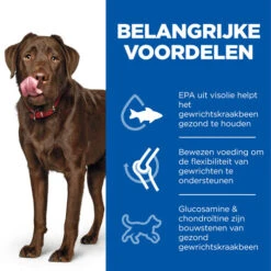 Hill's Science Plan - Healthy Mobility - Large -Katten Honden Benodigdheden Winkel hills science plan healthy mobility large 218696 0500 none