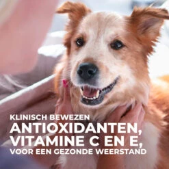 Hill's Science Plan - Mature/Adult - Small & Miniature 15 Hill's Science Plan - Mature/Adult - Small & Miniature -Katten Honden Benodigdheden Winkel hills science plan matureadult small miniature 218535 0500 none