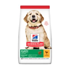 Hill's Science Plan - Large Puppy -Katten Honden Benodigdheden Winkel hills science plan puppy healthy development large 150503 2000 none