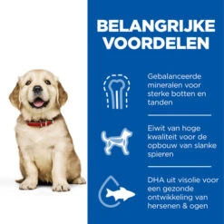 Hill's Science Plan - Large Puppy -Katten Honden Benodigdheden Winkel hills science plan puppy large chicken 218508 0500 none