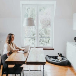 Hunter Hoekmand Livingstone - Grijs -Katten Honden Benodigdheden Winkel hunter hoekmand livingstone grijs 175903 1500 none