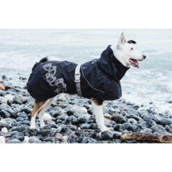 Hurtta Drizzle Coat -Katten Honden Benodigdheden Winkel hurtta drizzle regenjas 119218 2000 none