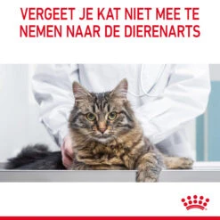 Royal Canin Hair & Skin In Gravy - Kattenvoer 25 Royal Canin Hair & Skin In Gravy - Kattenvoer -Katten Honden Benodigdheden Winkel i5DXexqmKbiRrttrBNlQvRbHnVQOcp metaUm95YWwtQ2FuaW4tVXJpbmFyeS1DYXJlLWluLUdyYXZ5XzA2LmpwZw