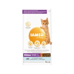 IAMS For Vitality Kitten Ocean Fish -Katten Honden Benodigdheden Winkel iams for vitality kitten ocean fish 217685 1500 none