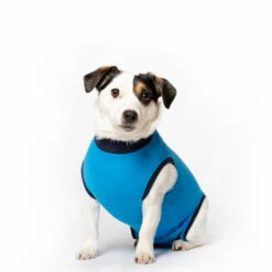 Jacketz Medical Body Suit Hond -Katten Honden Benodigdheden Winkel jacketz medical body suit hond s blue 136183 2000 none
