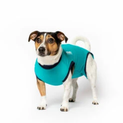 Jacketz Medical Body Suit Hond -Katten Honden Benodigdheden Winkel jacketz medical body suit hond xs aqua green 129577 2000 none