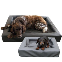 Lounge Dogbed 5 Lounge Dogbed -Katten Honden Benodigdheden Winkel k0c0dZ2pVr6Zup13w3sk8ItH6Rm5Pf metacHJvZHVjdF9sb3VuZ2VfZG9nYmVkX21lZHBldHNfNF8xMzkzNDk1MzY2Xzc4MjUuanBn