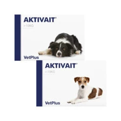 Vetplus Aktivait Hond -Katten Honden Benodigdheden Winkel k6iRFiSnYlSTFEMqrzOWlM4WMC5fBU metadmV0cGx1c19ha3RpdmFpdF9ob25kXzIwMjU5OF8wNTAwX25vbmUuanBn