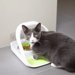 Surefeed Connect Microchip Voerautomaat 17 Surefeed Connect Microchip Voerautomaat -Katten Honden Benodigdheden Winkel kTbQA19EI5nYoPBP8ZuLwwZntvmS3C metaU3VyZWZlZWQtOC5qcGc