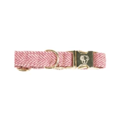 Kentucky Dogwear Hondenhalsband Wool -Katten Honden Benodigdheden Winkel kentucky dogwear hondenhalsband wool 219709 0500 none