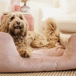 Kentucky Dogwear Velvet Hondenmand -Katten Honden Benodigdheden Winkel kentucky dogwear velvet hondenmand 219658 0500 none