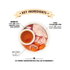 Lily's Kitchen Smooth Paté Kittenvoer - Kuipje -Katten Honden Benodigdheden Winkel lilys kitchen smooth pat kitten kattenvoer kuipje 194747 0500 none