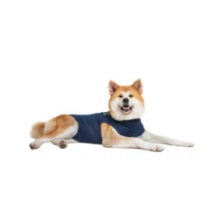 Medical Pet Shirt Hond -Katten Honden Benodigdheden Winkel medical pet shirt hond 167410 1000 none