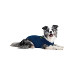 Medical Pet Shirt Hond -Katten Honden Benodigdheden Winkel medical pet shirt hond 167416 1000 none