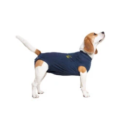 Medical Pet Shirt Hond -Katten Honden Benodigdheden Winkel medical pet shirt hond 167419 1000 none