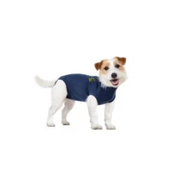Medical Pet Shirt Hond -Katten Honden Benodigdheden Winkel medical pet shirt hond 167422 1000 none