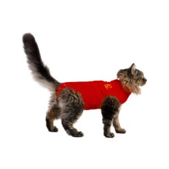 Medical Pet Shirt Kat 17 Medical Pet Shirt Kat -Katten Honden Benodigdheden Winkel medical pet shirt kat 167401 1000 none