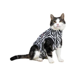 Medical Pet Shirt Kat Zebra 13 Medical Pet Shirt Kat Zebra -Katten Honden Benodigdheden Winkel medical pet shirt kat zebra print 167365 1000 none