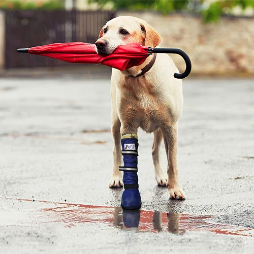 Medical Pet Shirt Boot 18 Medical Pet Shirt Boot - Afbeelding 16